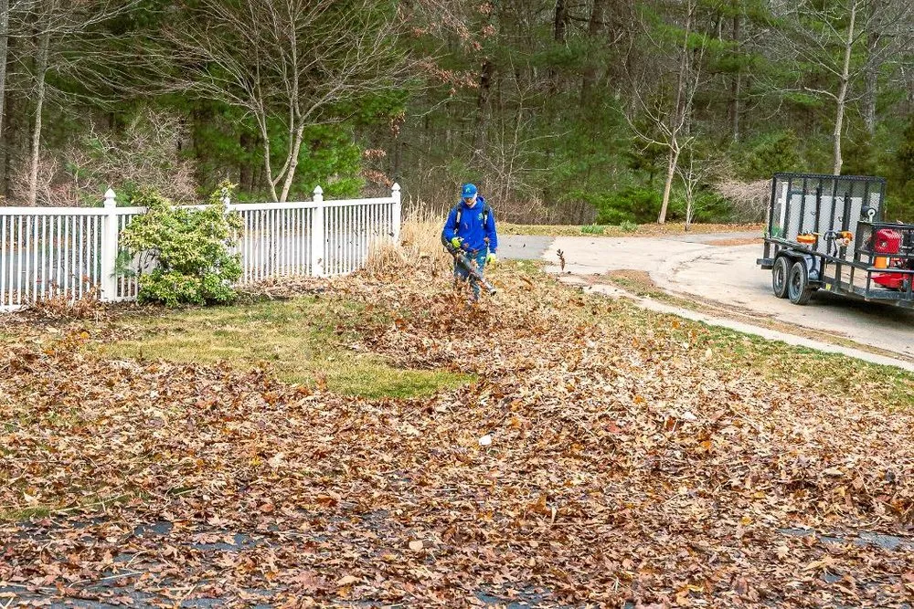 Local yard cleanup service for homes across Plymouth, MA - Brace Lawn Care