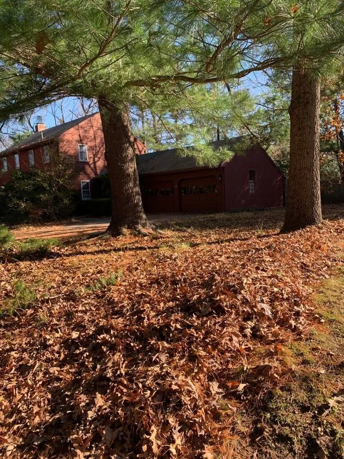 Local lawn care service for year-round maintenance in Plymouth, MA by Brace Lawn Care