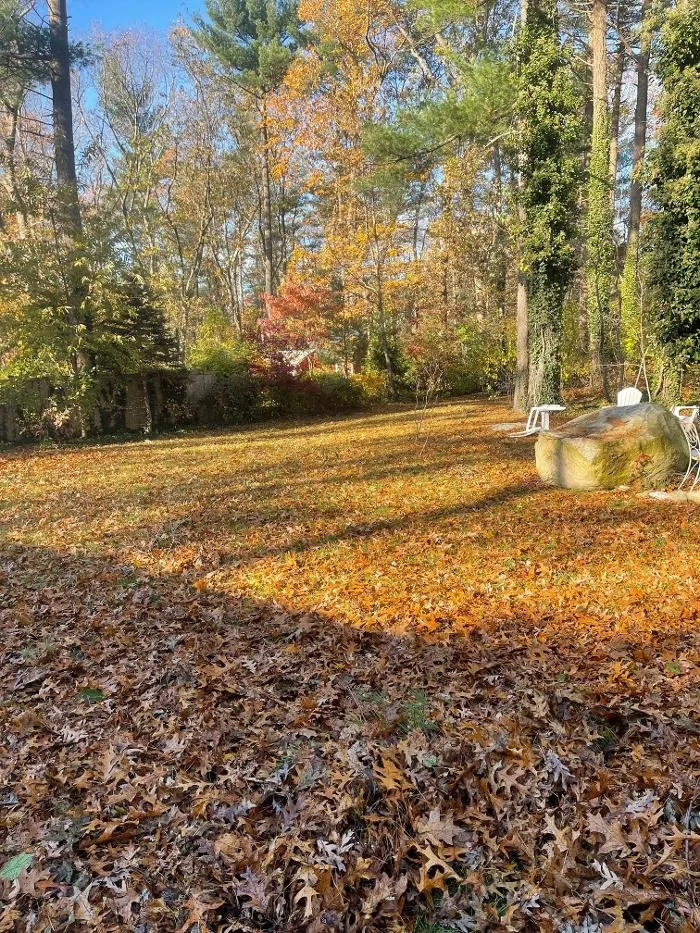 Custom lawn mowing service for beautiful yards across Plymouth, MA - Brace Lawn Care