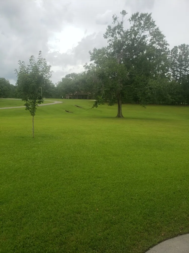 Top-rated lawn care service in Gulfport, MS - Bracey lawn care