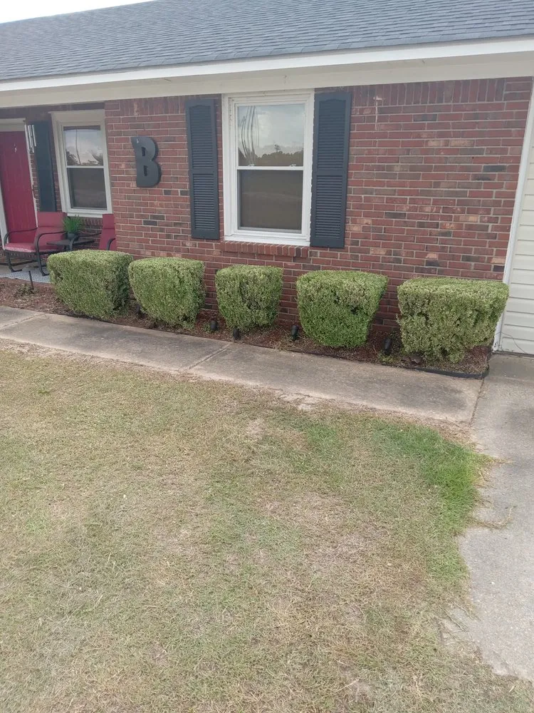 Reliable outdoor landscaping in Sumter, SC by Braceys All Day Landscaping