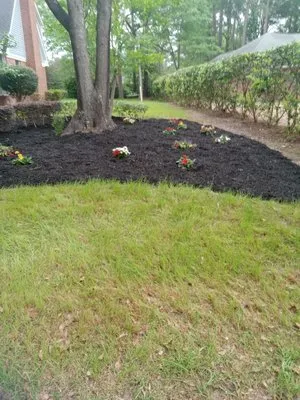 Braceys All Day Landscaping Logo