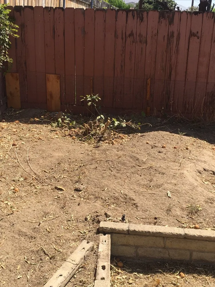 Professional landscaping services in adelanto, CA by Bracken's Landscaping