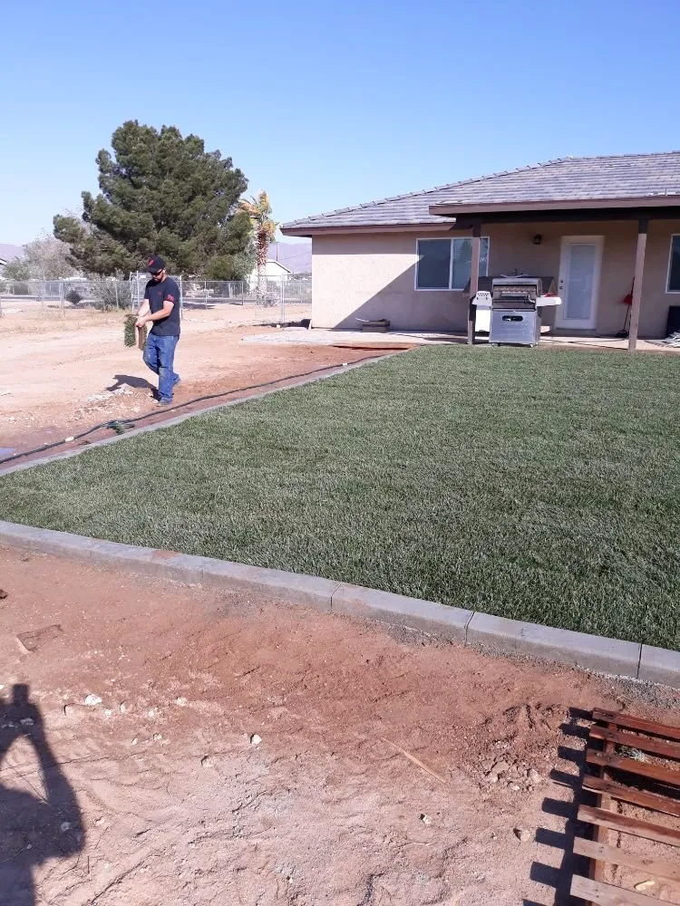 Affordable yard maintenance in adelanto, CA - Bracken's Landscaping