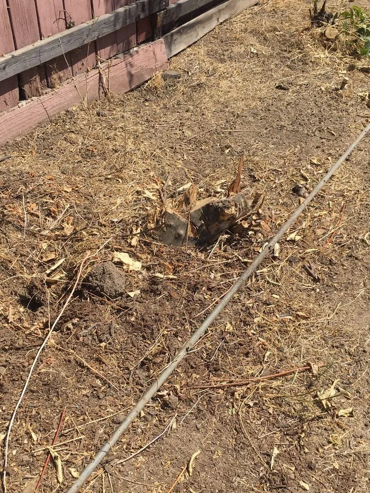 Professional lawn mowing service with custom design across adelanto, CA - Bracken's Landscaping