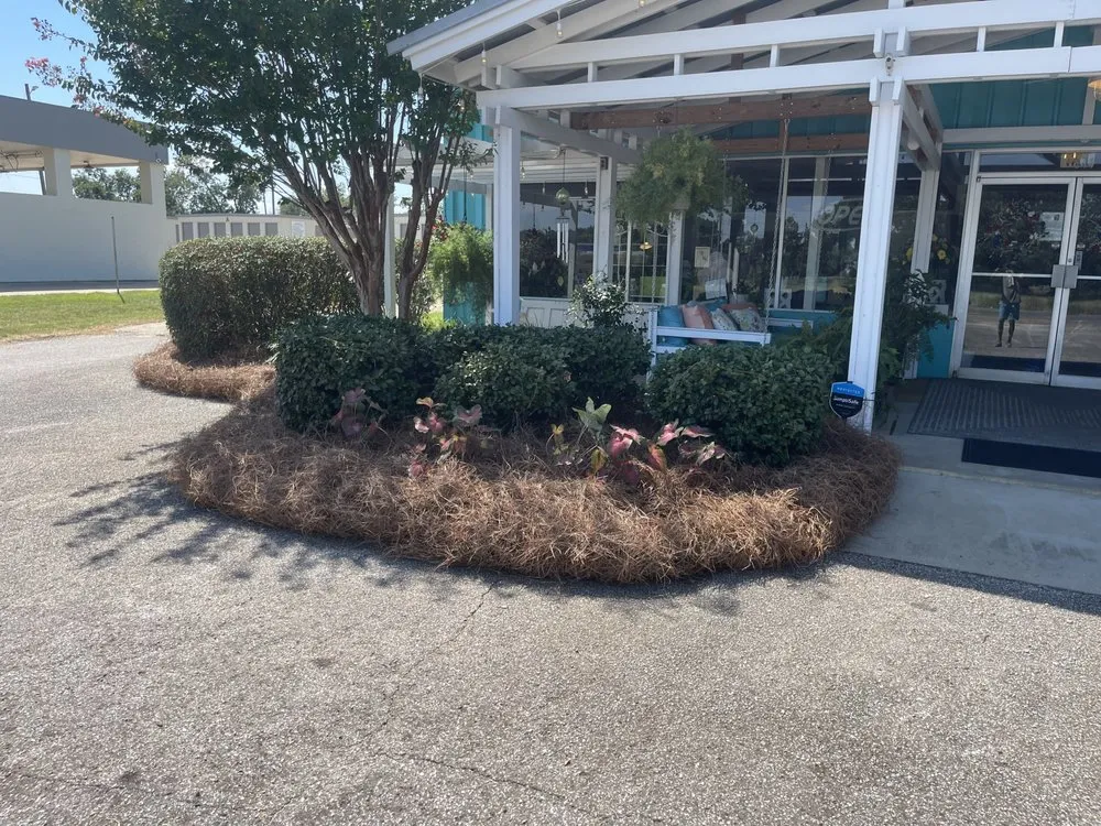 Custom yard cleanup service in Headland, AL - Brackins Lawn Care