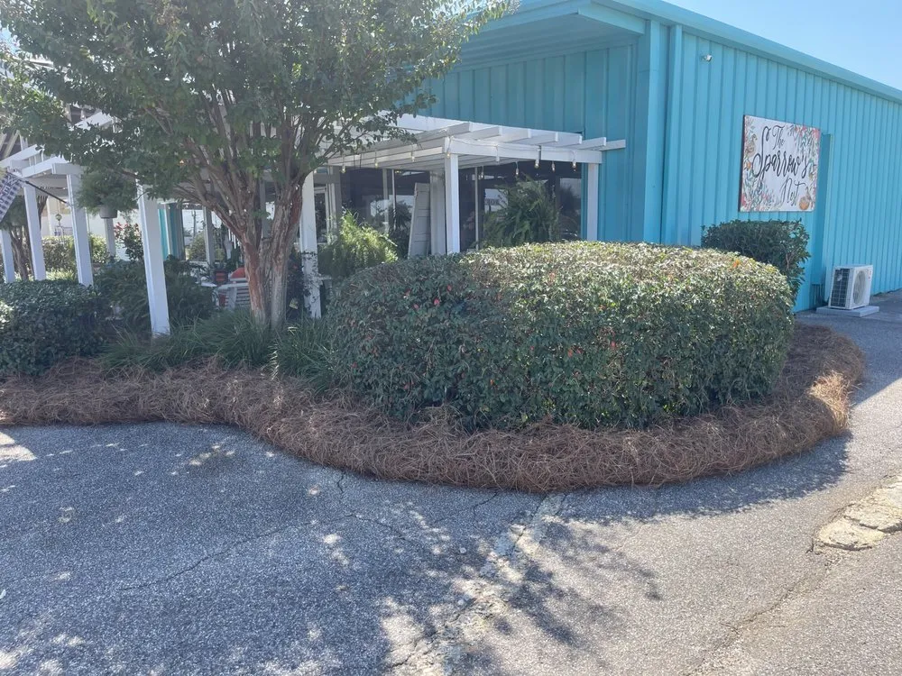 Local yard maintenance experts serving Headland, AL - Brackins Lawn Care