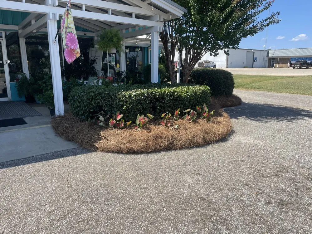 Professional lawn care service for beautiful yards in Headland, AL by Brackins Lawn Care