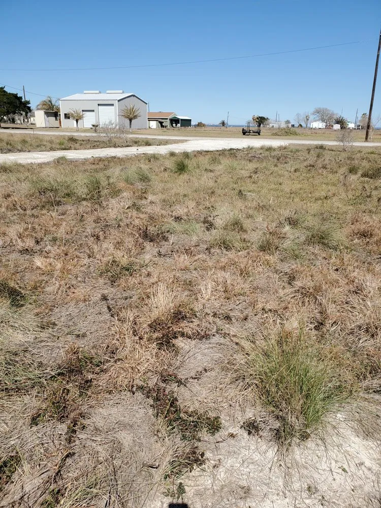 Top-rated landscaping services in New Braunfels, TX by Bracks Contractors