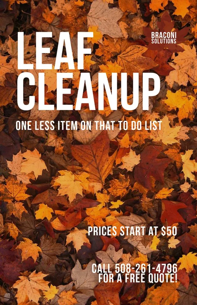 Affordable residential landscaping in Swansea, MA - Braconi Solutions