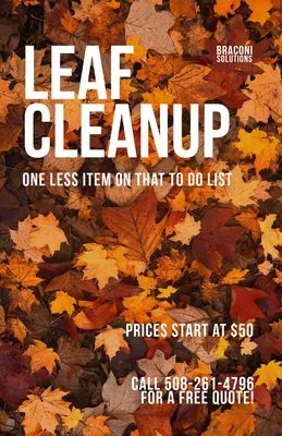 Braconi Solutions Logo