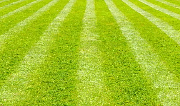 Local landscape design for outdoor upgrades across Killingly, CT - Bracy