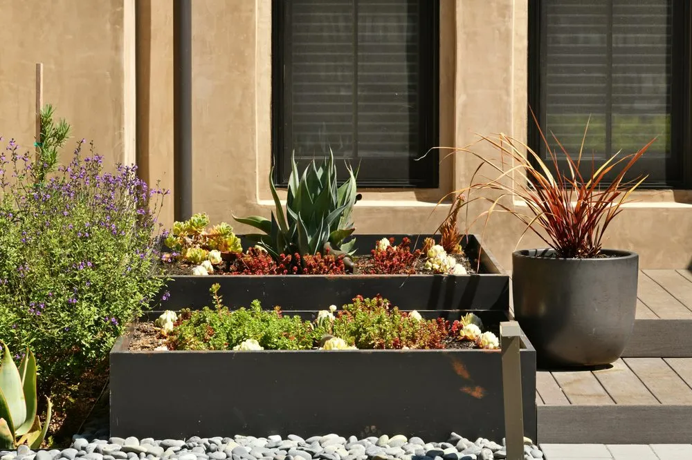 Affordable lawn care service near you across San Leandro, CA - Brad Dodge Designs