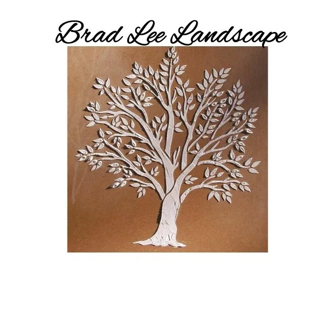 Professional landscaping services in Tunnel Hill, GA by Brad Lee Landscape