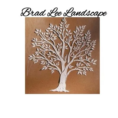 Brad Lee Landscape Logo