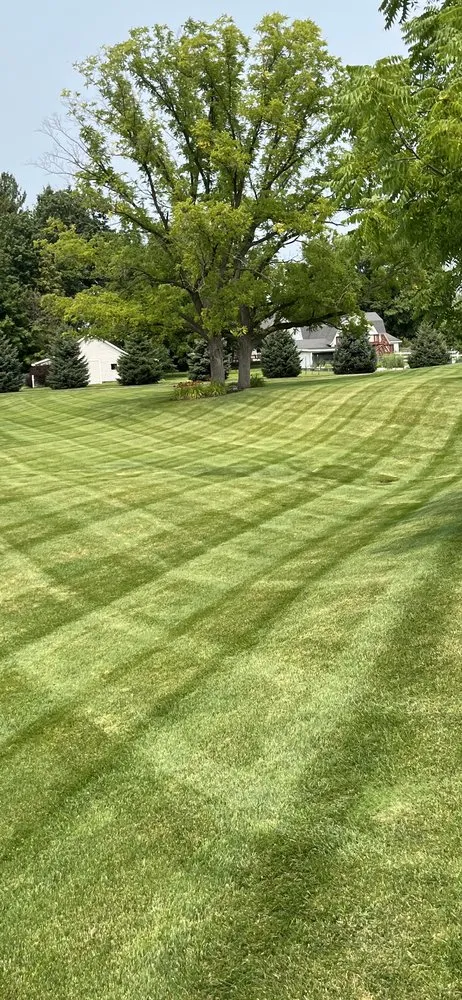 Trusted residential landscaping for beautiful yards in Jenison, MI by Braden Smith