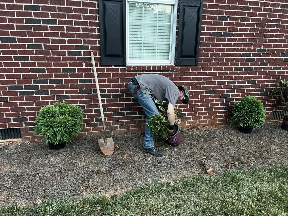 Expert landscape installation in Knoxville, TN by Braden the Handyman