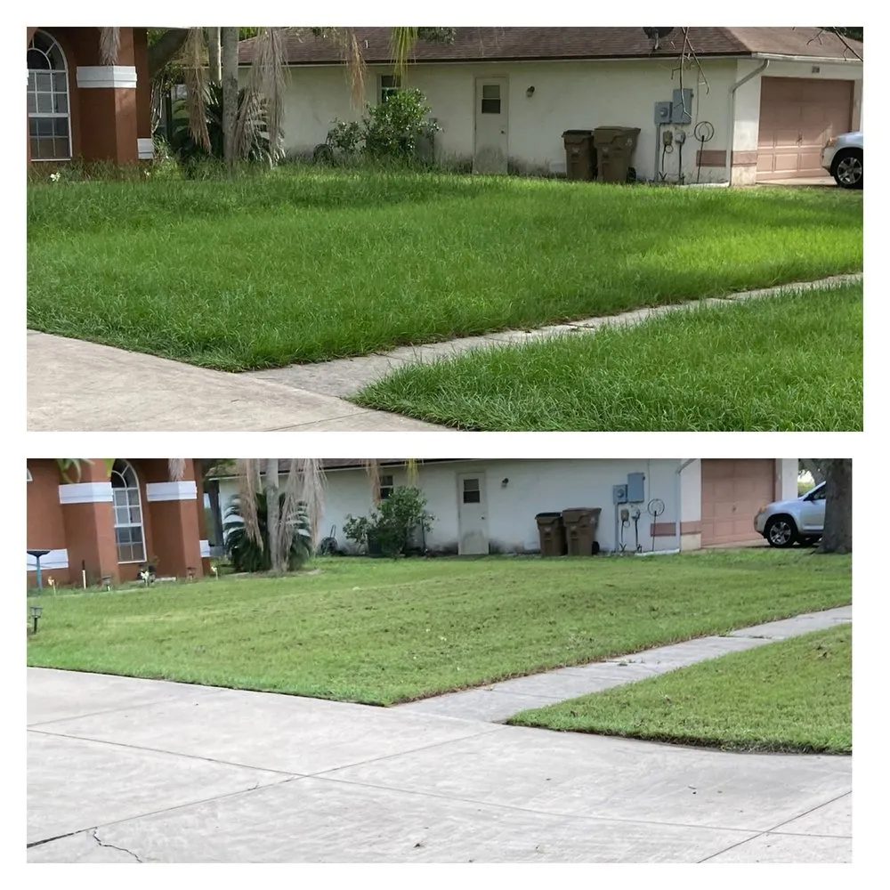 Top-rated yard maintenance in Leesburg, FL - Bradford & Sons Lawn Maintenance And Tree Services