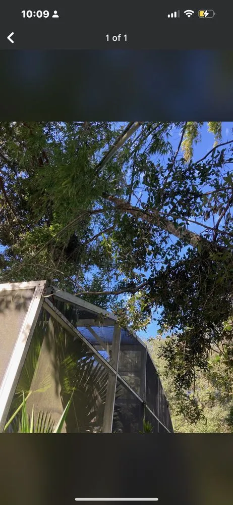 Expert outdoor landscaping experts serving Leesburg, FL - Bradford & Sons Lawn Maintenance And Tree Services