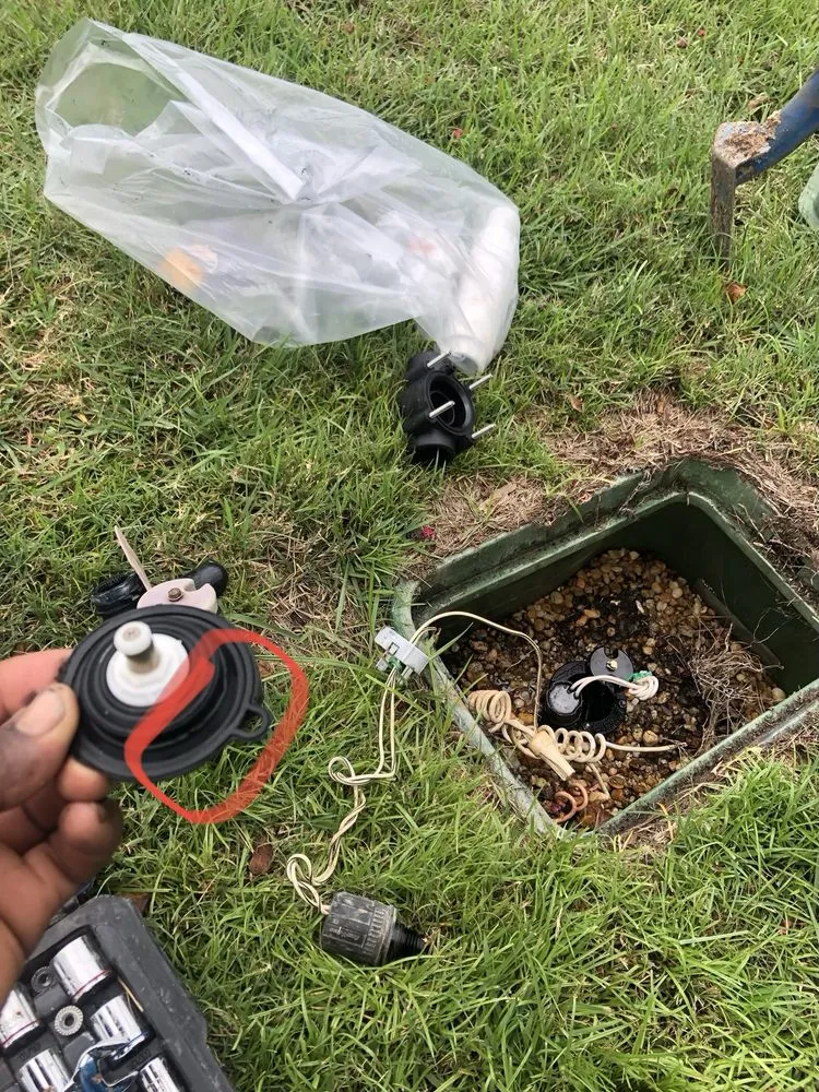 Top-rated residential landscaping in Leesburg, FL by Bradford & Sons Lawn Maintenance And Tree Services