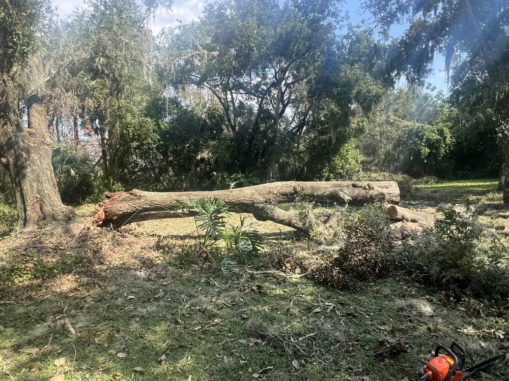 Professional landscape installation in Leesburg, FL by Bradford & Sons Lawn Maintenance And Tree Services