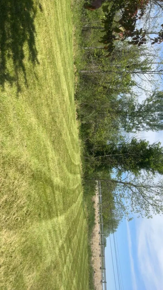 Trusted lawn mowing service near you in Springfield, OH by Bradford Lawn & Landscaping