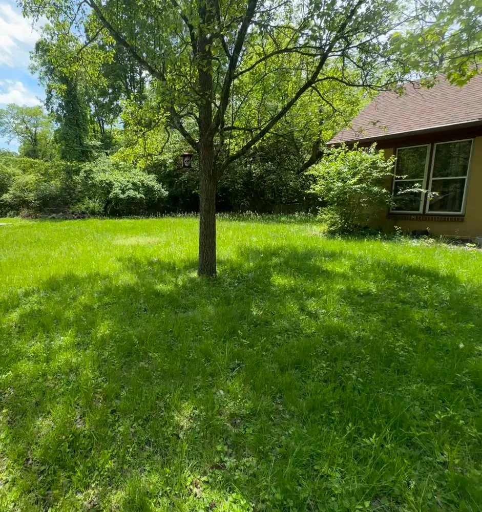 Custom yard maintenance for residential properties across Springfield, OH - Bradford Lawn & Landscaping