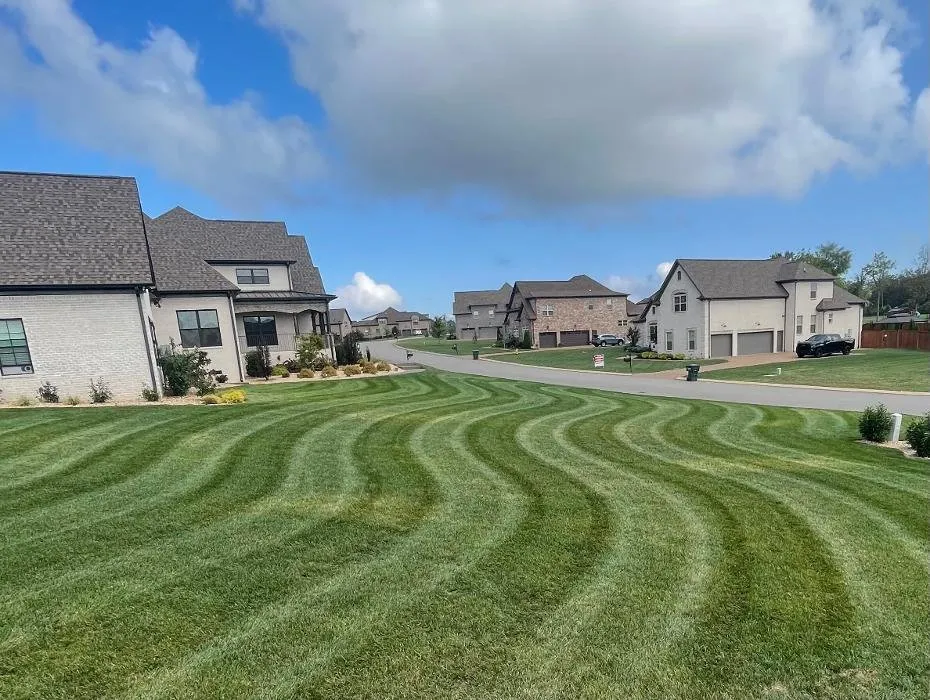 Local garden landscaping in Mount Juliet, TN by Bradford Lawn & Turf