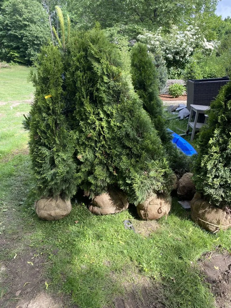 Expert landscape design experts serving Marion, MA - Bradford R Silva & Son Landscaping