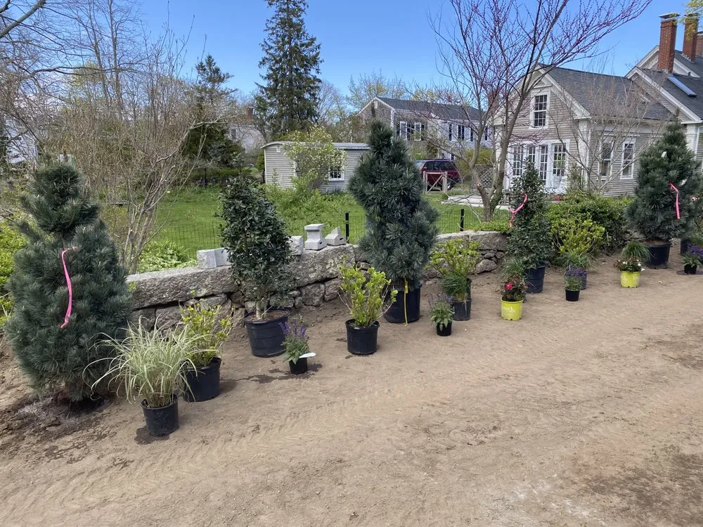 Trusted lawn care service near you in Marion, MA by Bradford R Silva & Son Landscaping