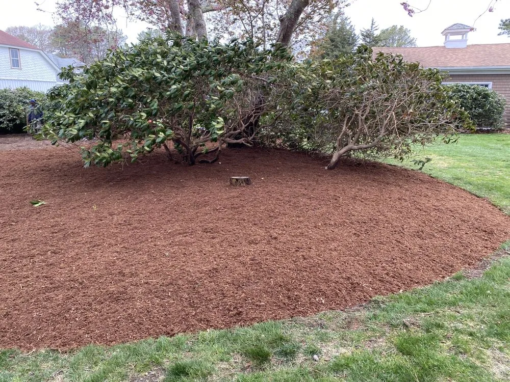 Professional landscaping services experts serving Marion, MA - Bradford R Silva & Son Landscaping