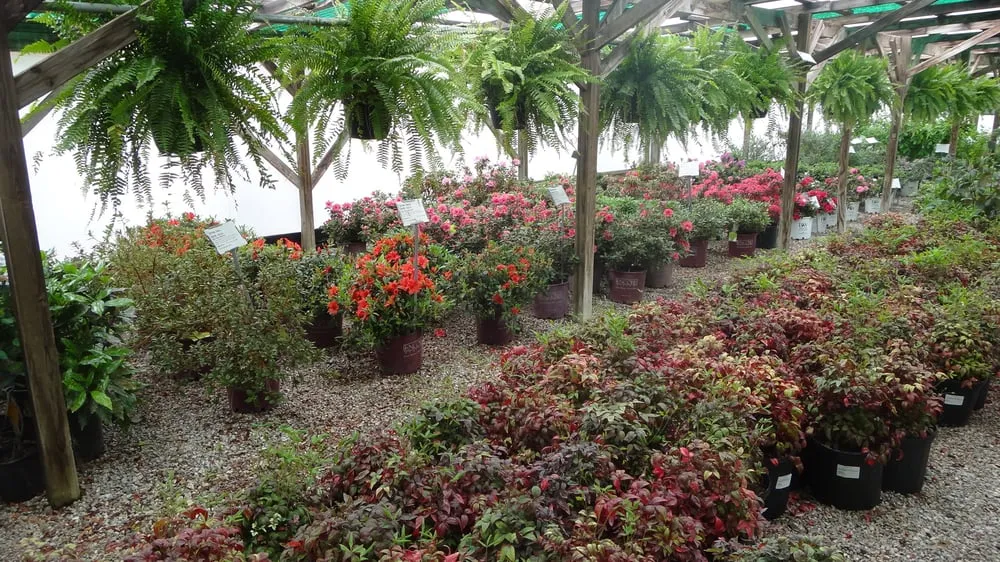 Top-rated lawn care service with custom design in Rogers, AR by Bradford Yard Living + Landscaping