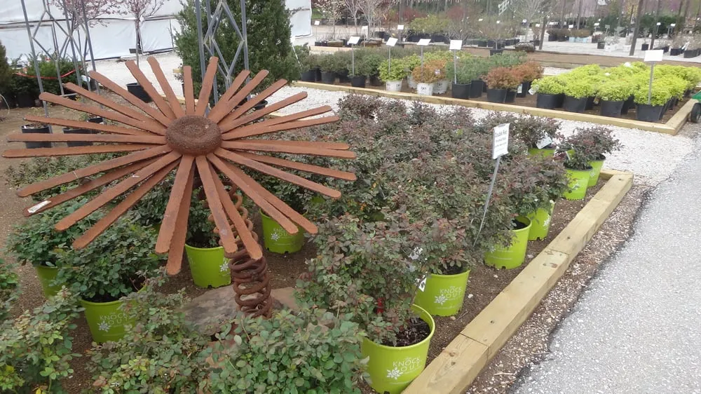 Reliable yard cleanup service for beautiful yards across Rogers, AR - Bradford Yard Living + Landscaping