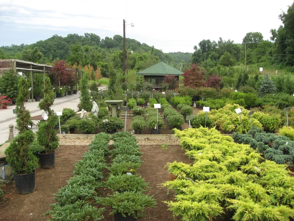 Local landscape design with custom design across Rogers, AR - Bradford Yard Living + Landscaping