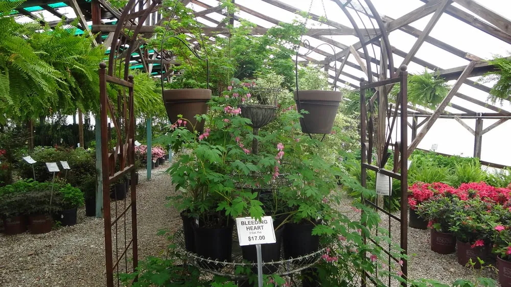 Expert lawn care service near you across Rogers, AR - Bradford Yard Living + Landscaping