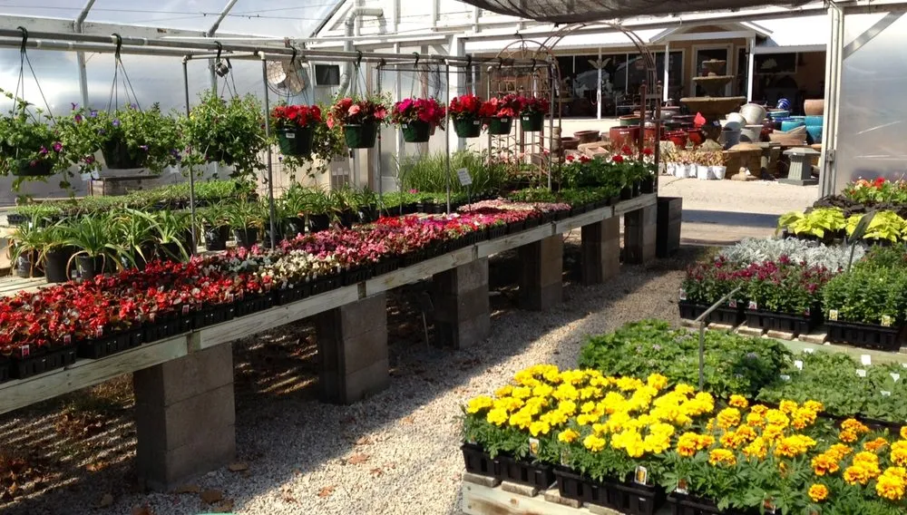 Affordable yard maintenance in Rogers, AR by Bradford Yard Living + Landscaping