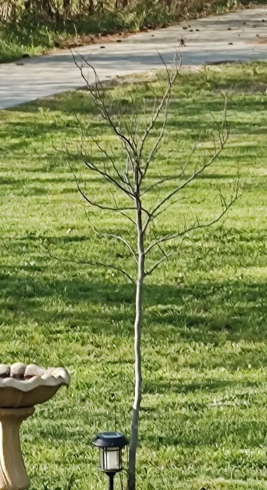 Reliable landscape installation with custom design in Winchester, TN by Bradford's Landscaping Nursery