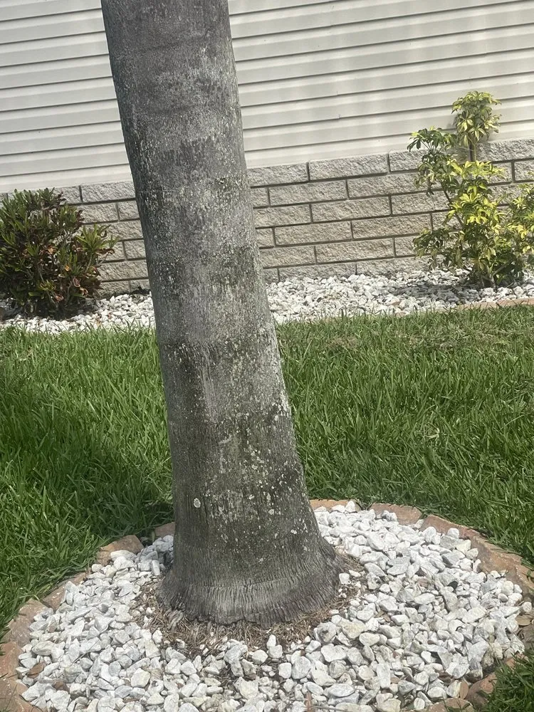 Custom lawn mowing service in Winter Haven, FL by Bradford’s Lawn & Garden Care