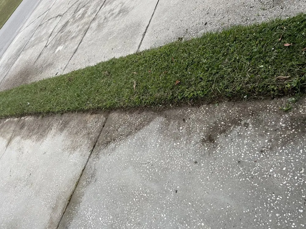 Local outdoor landscaping experts serving Winter Haven, FL - Bradford’s Lawn & Garden Care