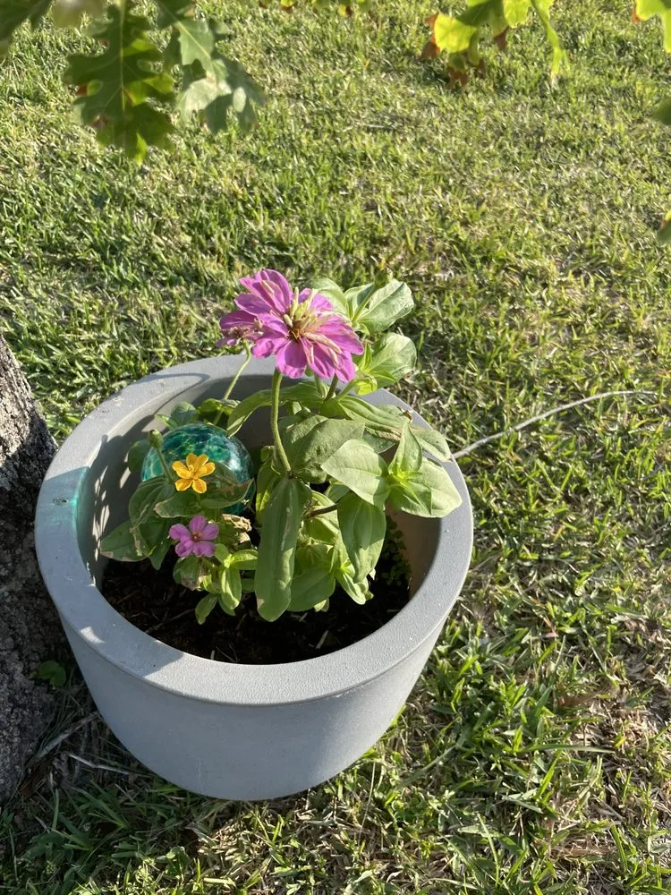 Local garden landscaping experts serving Winter Haven, FL - Bradford’s Lawn & Garden Care