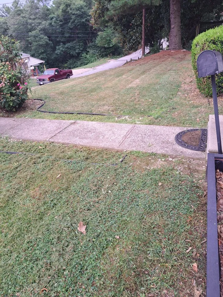 Custom outdoor landscaping near you in Alton, IL by Bradford's Lawn Care Service