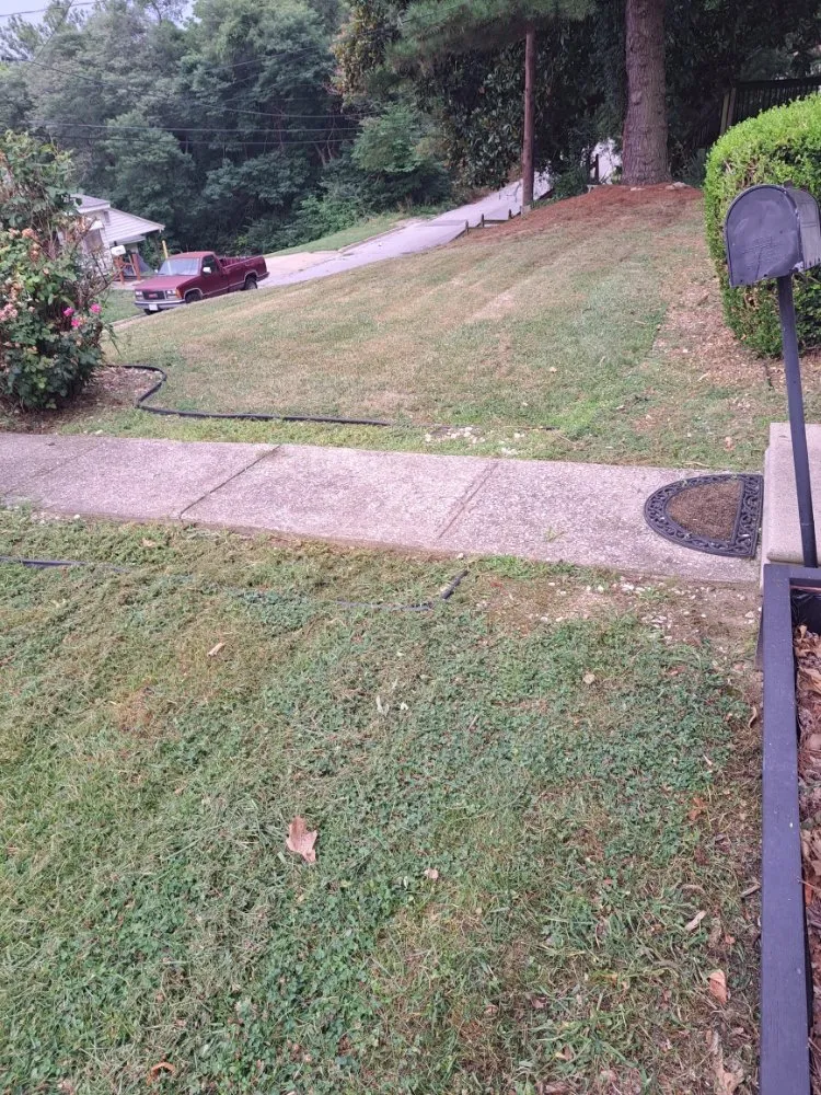 Local yard maintenance for residential properties across Alton, IL - Bradford's Lawn Care Service