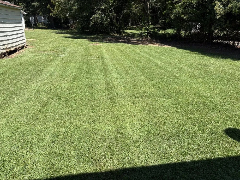 Reliable landscape design experts serving Roebuck, SC - Bradley & Son’s Service