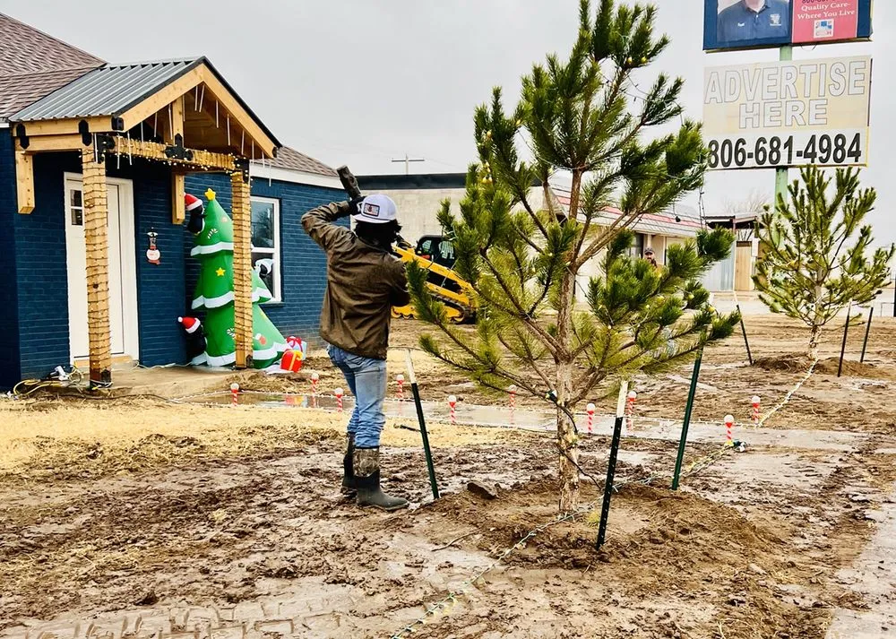 Top-rated landscaping services in Fritch, TX - Bradley Jacob Solutions