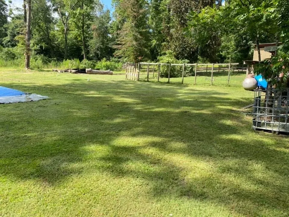 Trusted landscape design for homes in Pollock, LA by Bradley Lawn Care