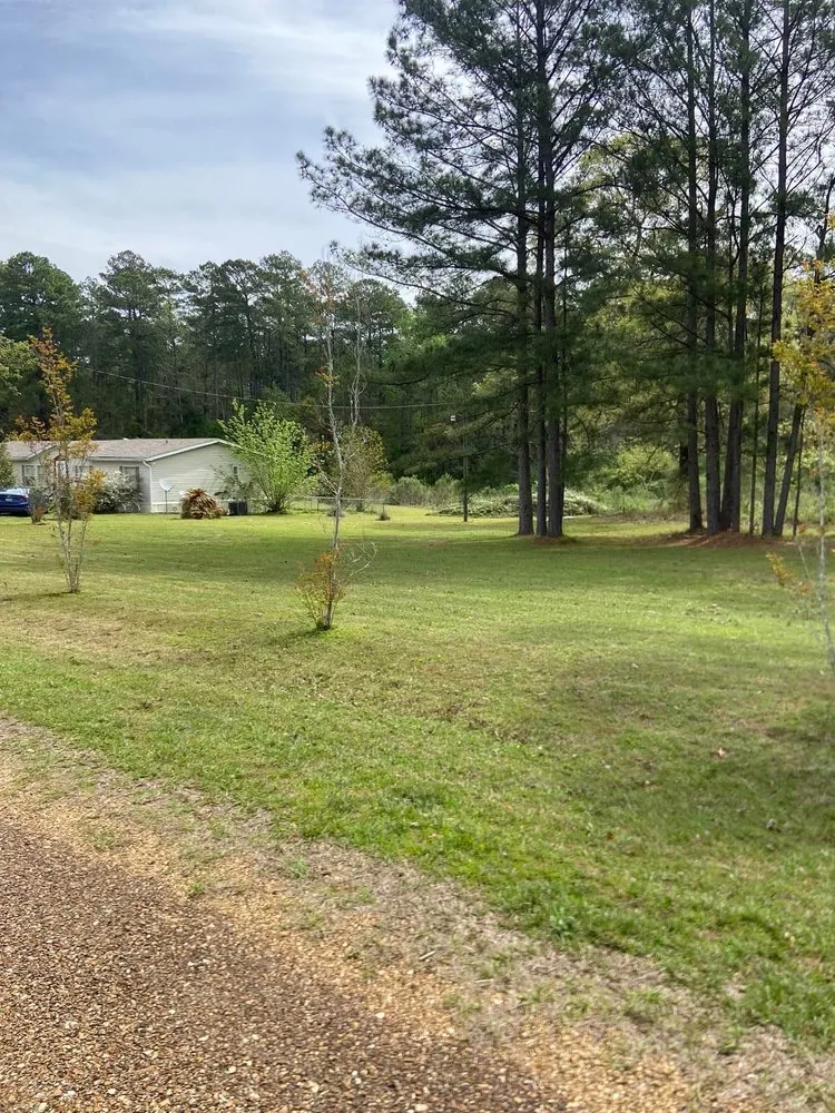 Expert landscaping services in Pollock, LA by Bradley Lawn Care