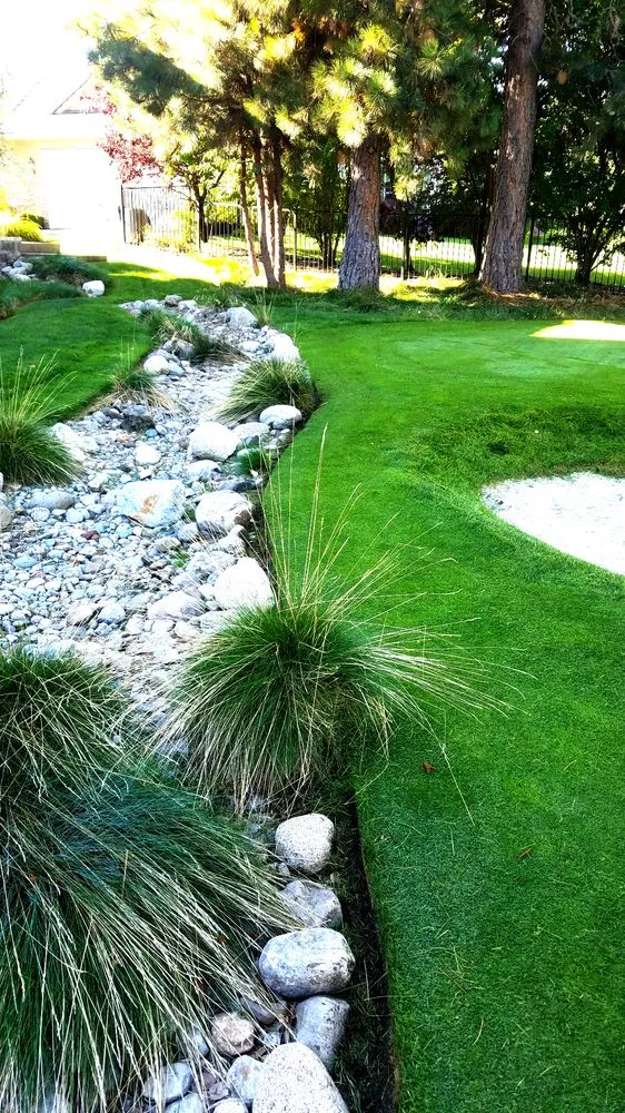 Professional yard cleanup service in Spokane, WA - Bradley Lawn Care