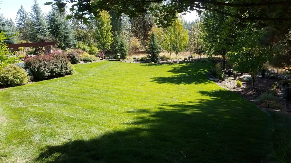 Professional lawn care service for beautiful yards across Spokane, WA - Bradley Lawn Care