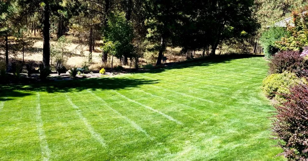 Local lawn mowing service in Spokane, WA by Bradley Lawn Care
