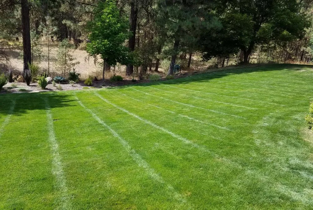 Trusted outdoor landscaping experts serving Spokane, WA - Bradley Lawn Care